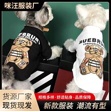 狗狗衣服新款印画短袖春秋夏款防掉毛中小型幼犬狗狗猫咪宠物衣服