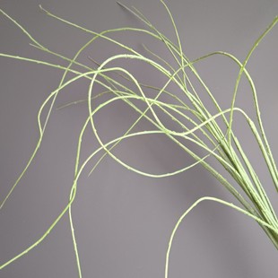 ����֦�l�y����֦����횬F���ҾӘӰ��g�Ƶ��c�廨�OӋ������l