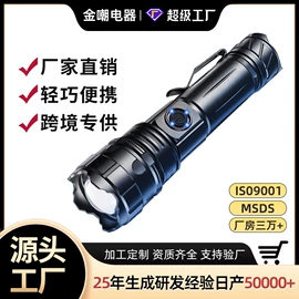 手电筒;头灯头戴电筒;电子灭蚊器