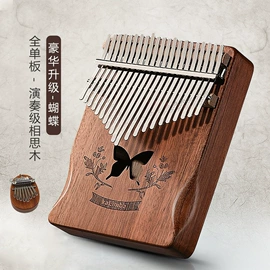 弹拨类乐器;其他乐器;创意礼品套装