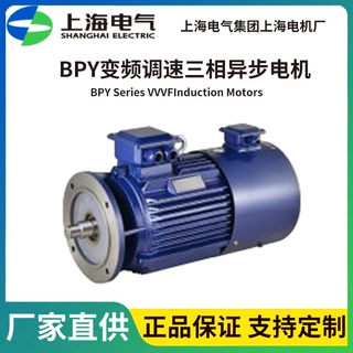 上海电气电机厂BPY变频调速三相异步电机可替换YVF/YPTYP