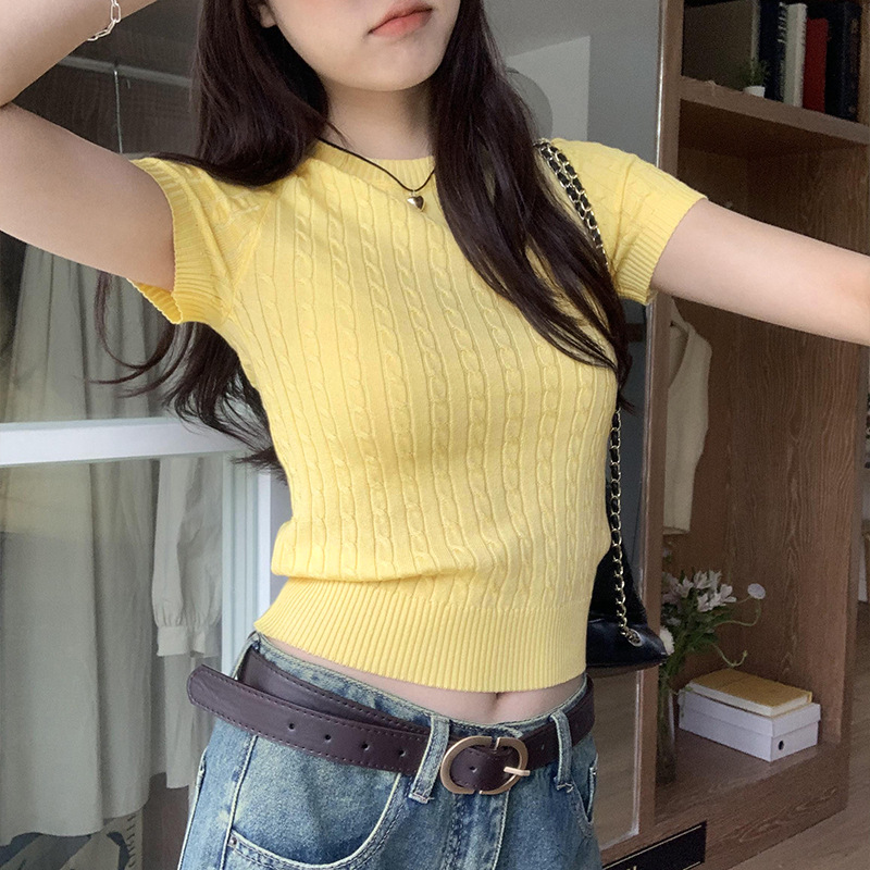 Aimee Duo Korean Style Design Sense Hemp Pattern Round Neck Shoulder Top Comfortable Breathable Solid Color Knitted Short-sleeved T-shirt for Women