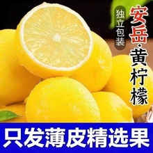 四川安岳柠檬黄柠檬当季新鲜奶茶店皮薄商用整箱柠檬大果鲜柠檬