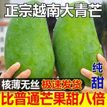 ����Խ�ϴ���â���rˮ��10���ش�â��������]�����ЋD��ʳ��â��