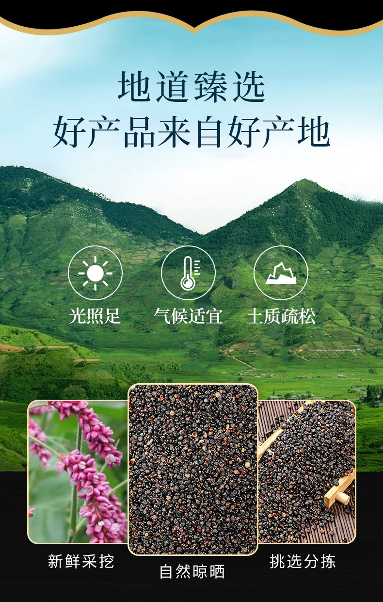 Shui Hong Hua Zi (Polygonum orientale) — Dried Chinese Herbal Fruit & Powder, 500g overview