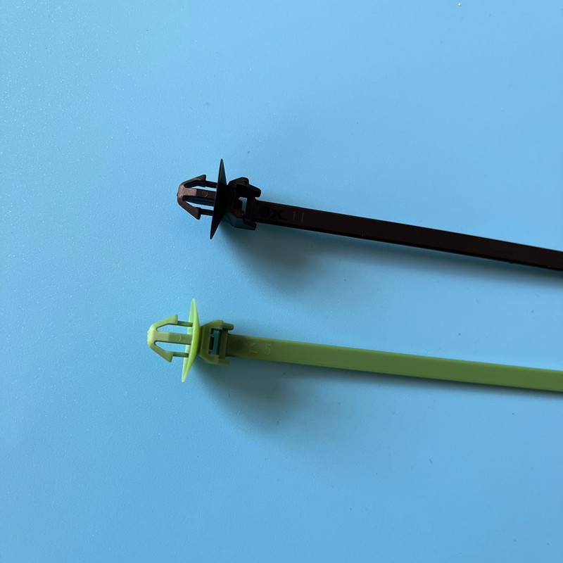 阿雷蒙扎带205249