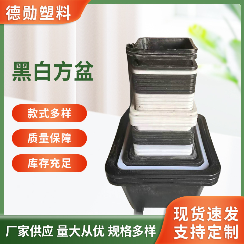 多肉花盆韩式塑料加厚黑白盆桌面创意浅方盆方形多肉多规格盆