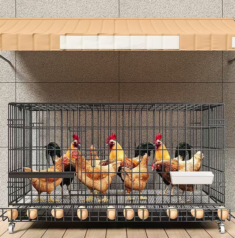 66f55b04-9167-4352-9784-3c739e964cb6.jpe