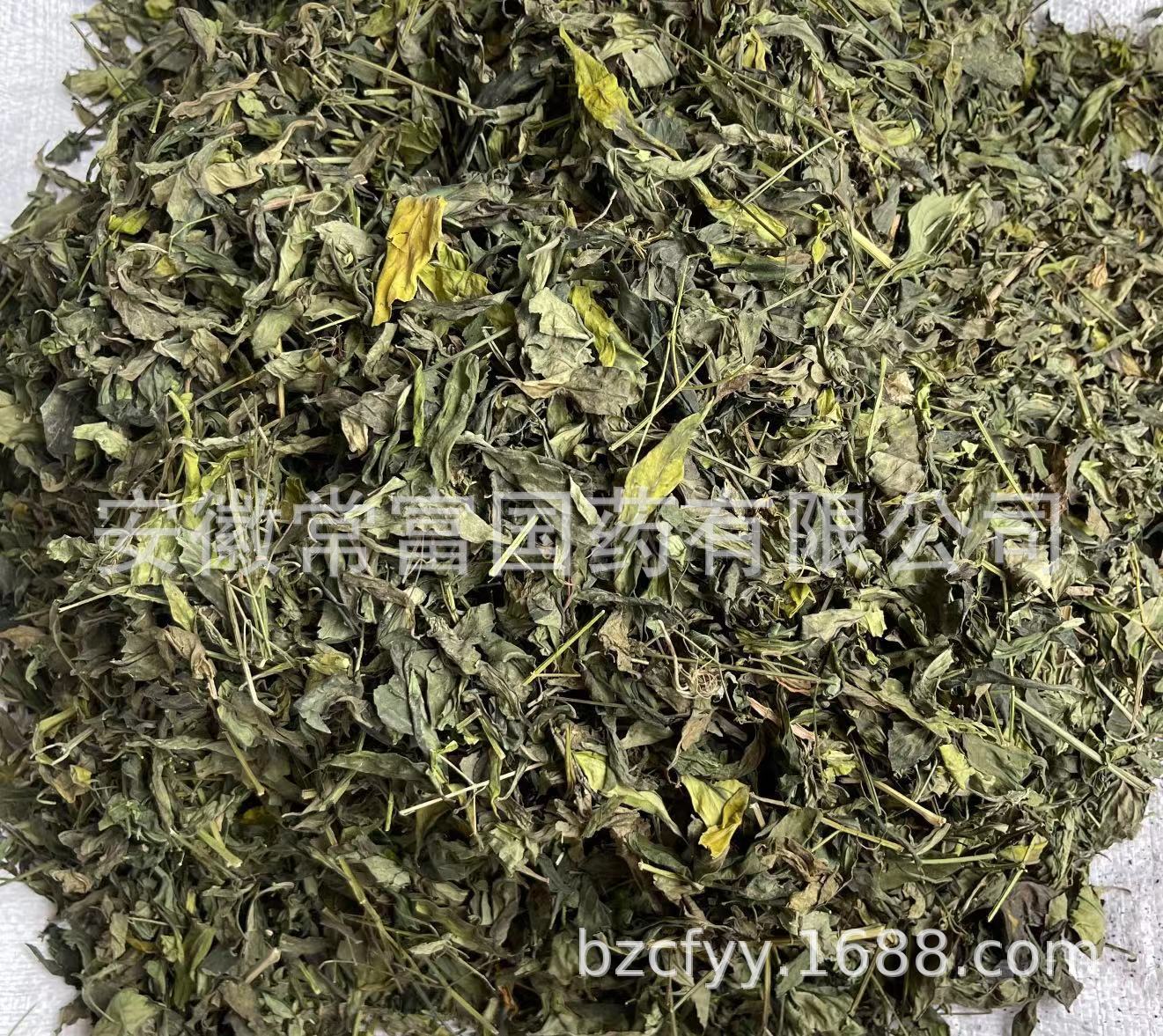 Chuan Xin Lian Andrographis Leaf Dried Herb 500g Bulk Culinary Herbal Supply quality and texture