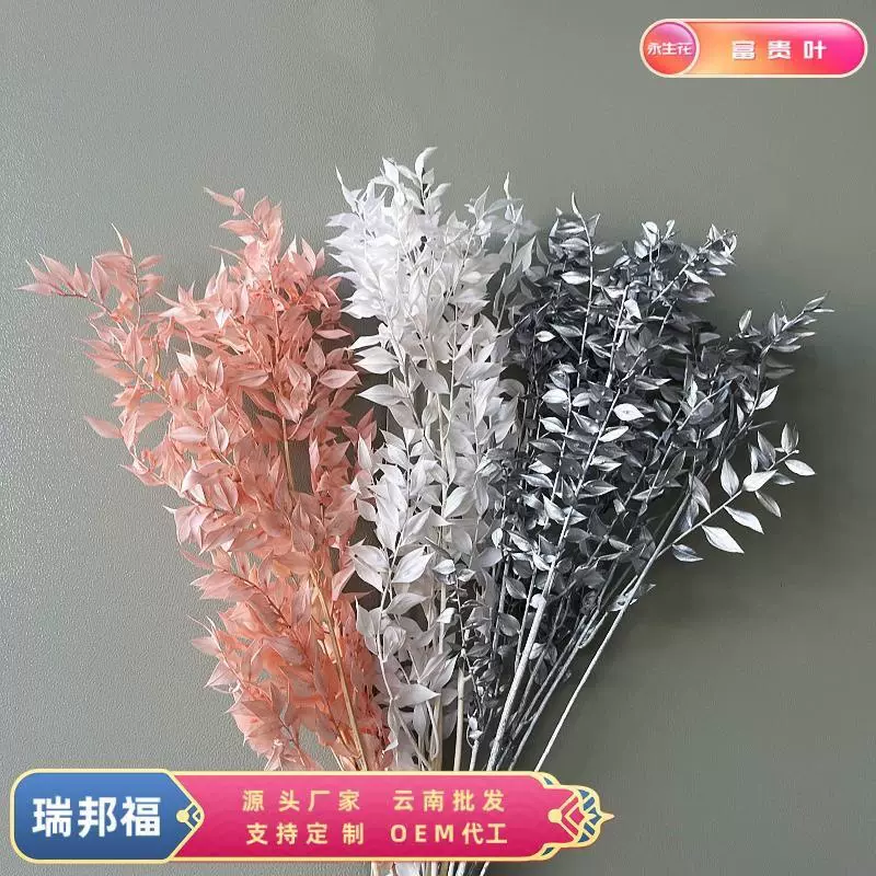 富贵叶永生花干花diy材料 婚礼花艺拍照道具工厂批发家居装饰