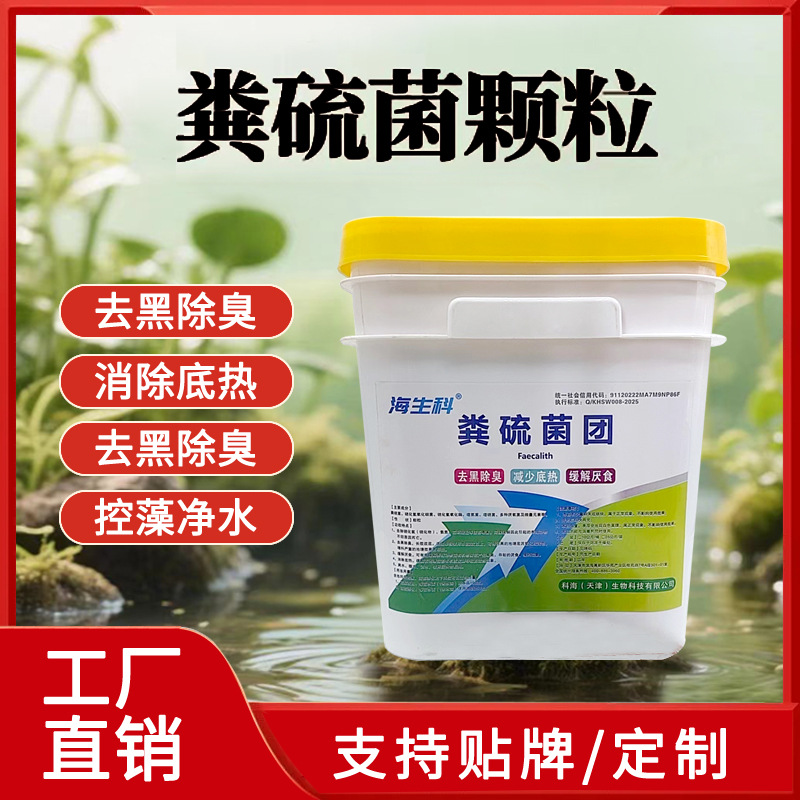 粪硫菌颗粒硫细菌颗粒水产养殖专用硫化氢氧化菌硫氧化菌颗粒脱硫