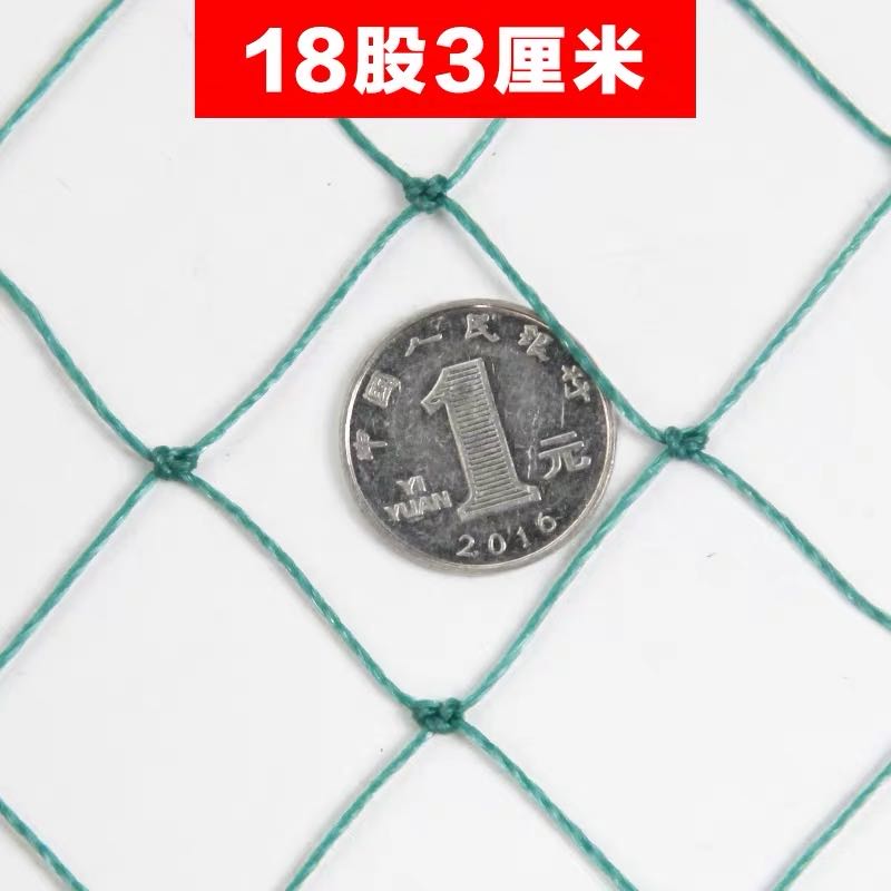 Red de cría de nailon Red de pollo Red de faisán Red de cerca Red de bloqueo de pollo Red de huerto Red de protección Red a prueba de pájaros