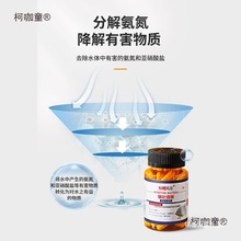 ���������~��ˮ��������׃�ˮ����s�ɷ�ˮ�|����������̫��