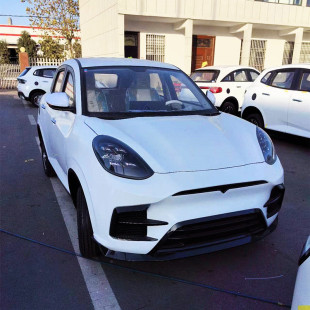 新能源女士電轎 成人電動四輪空調代步車 家用油電兩用車