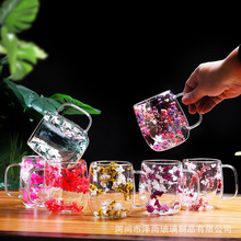 双层真空干花杯牛奶杯高硼硅玻璃杯办公室家用酒吧伴手礼真花杯子