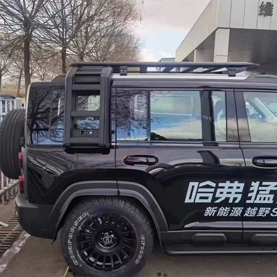 Roof rack: appearance kit tent