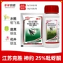 克胜江苏农药水稻稻飞虱