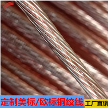 定制欧标美标铜绞线1*6AWG 各种规格上海厂家价格优惠