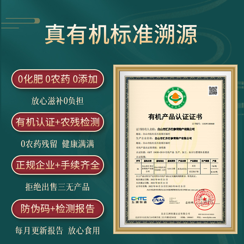 Organic Reishi Mushroom Spore Powder Ling Zhi Bao Zi Fen 250g Bottle in use