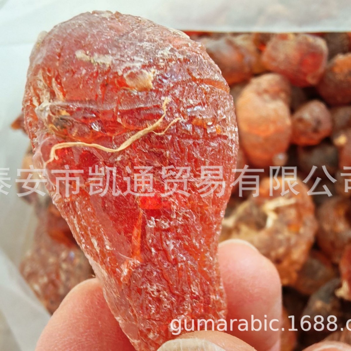 һ������������  ��ɫAcacia senegal�������� ����������