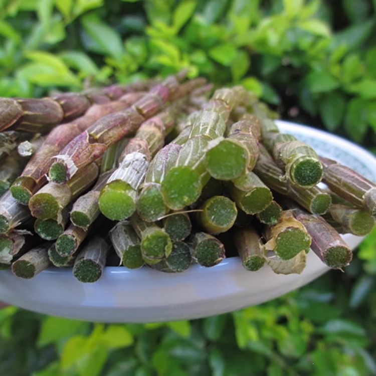 Fresh Huoshan Tie Pi Shi Hu Dendrobium Stems 5-Year Fresh Harvest for Juice Soup Wine overview
