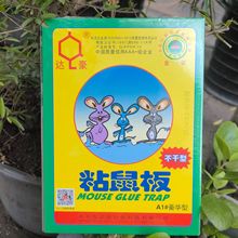 达豪A1豪华型强力粘鼠板老鼠贴捕鼠器不干型大号陷阱捕捉批发