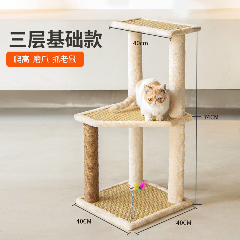 3레이어 기본 모델