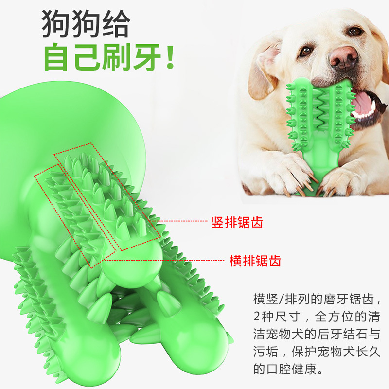 宠物狗狗玩具耐啃咬胶仙人掌橡胶盘训练磨牙棒啃咬玩具清洁用品