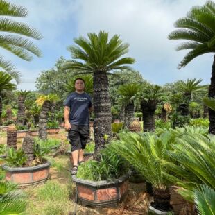 �������^�F�����l �㽭�F�����ԃr�� �Ĵ��Gֲ�辰�@ˇ�U��