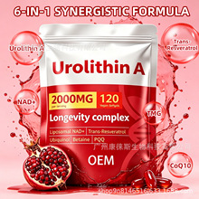 tk���R�d ��ʯ��A��ʳܛ�z��Urolithin A֬�|�wNAD+ ��޼�J���z��