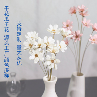 �ֹ����ӻ�С̖ �ɻ����Ӛ���ɫ��������ϏS�����lĸ�H��520