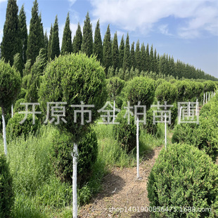 �|���ͺ������ɰس��G�����Ͱؘ������G�h�����ɰش��2-7���^��