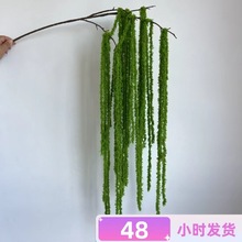 ���洹��ë�����׾��l�����z��c��Y�õ�픑���ɭϵ��Y�����b�