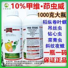 10%�׾S���x�������x���z�x���v���~������x���x���׾S�}���x��