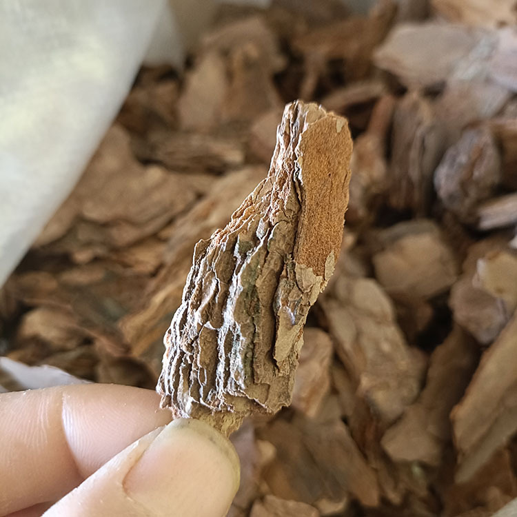 8b9bf6f13ec0ac54e3d14755c303e1