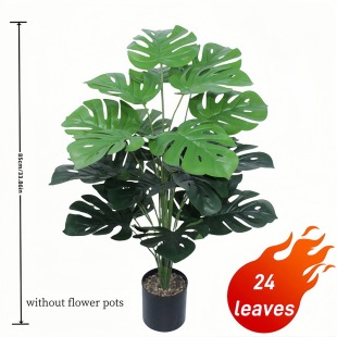 24�^����Gֲ�߼��д��~���k���ҼٲݾG�~ֲ�����҃��쾰�b�����