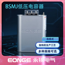 ���\BSMJS0.45 20-3 30-3���������ʽ�͉��K������o���a��