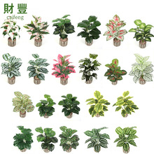 羳GֲlؔRɏ~ӻYҾӾƵb18^~