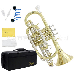 �羳��B�{��̖С̖�~������������̖����С̖���W��������̖