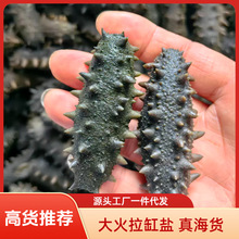 海货半干海参盐渍拉缸盐海参底播大连辽参野生大火高泡发肉厚味鲜