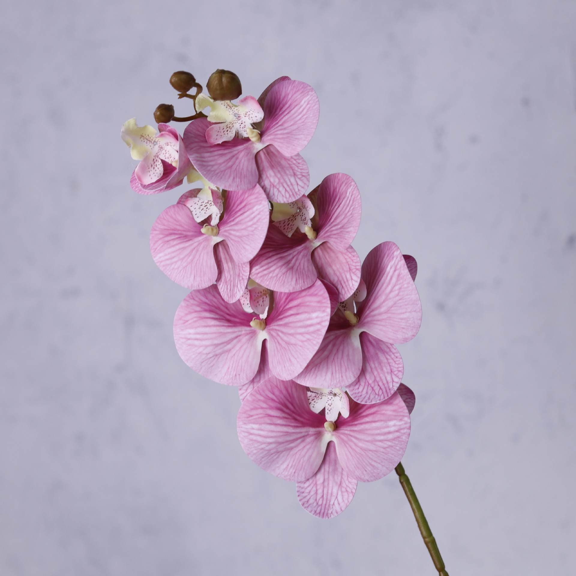 Impresión 3D de 7 cabezas de orquídeas mariposa flor de decoración de flores de alto nivel flor de nicho decoración floral decoración de sala de estar