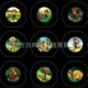 Shenzhen manufacturers specializing in the supply of 7mm finger lamp slides. Color film. Slide