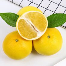 �Fժ�����S��������5/10������GƤ�S����Ƥ�����ֱ�Ƥ���rˮ��