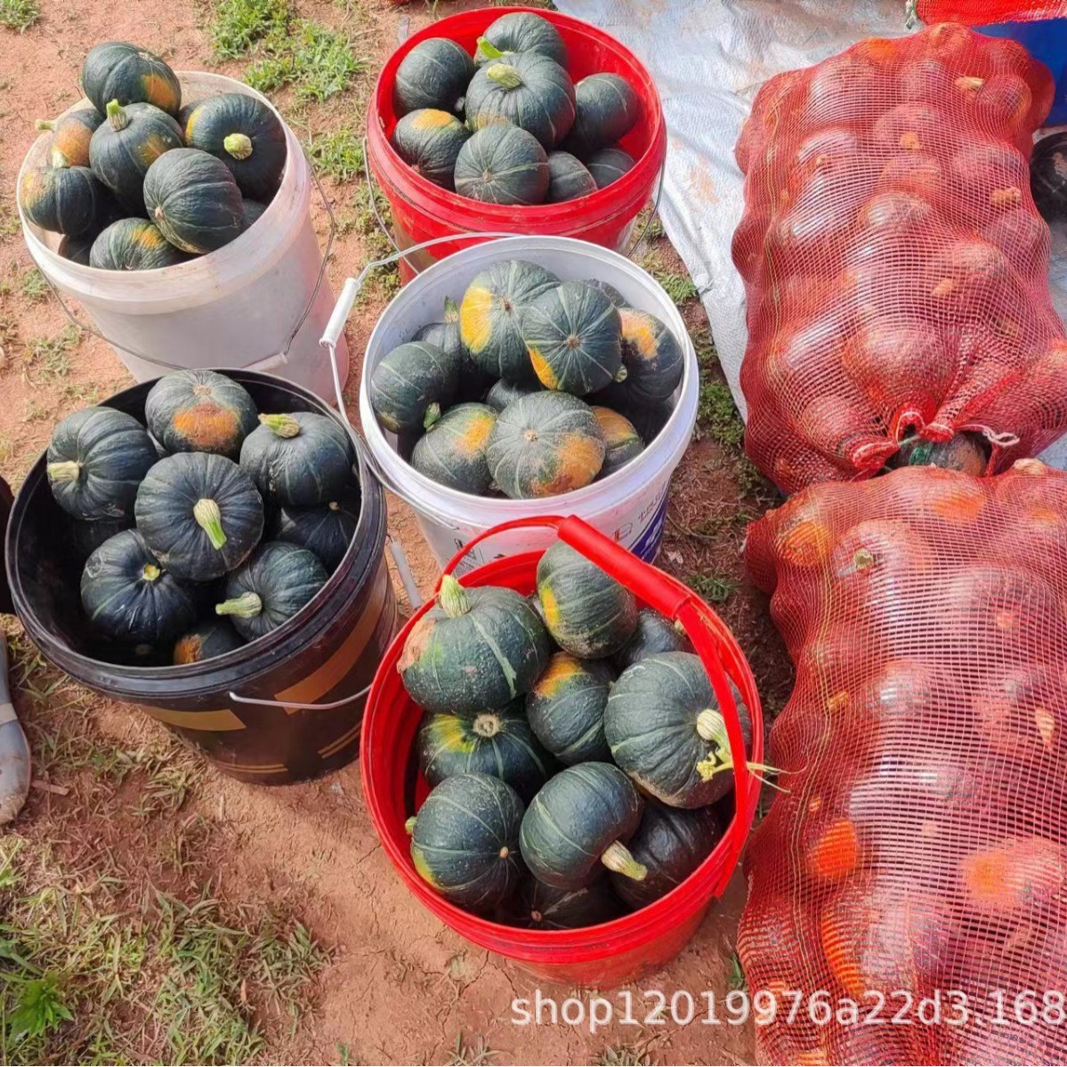 2025-06-07 21:59:42.jpg