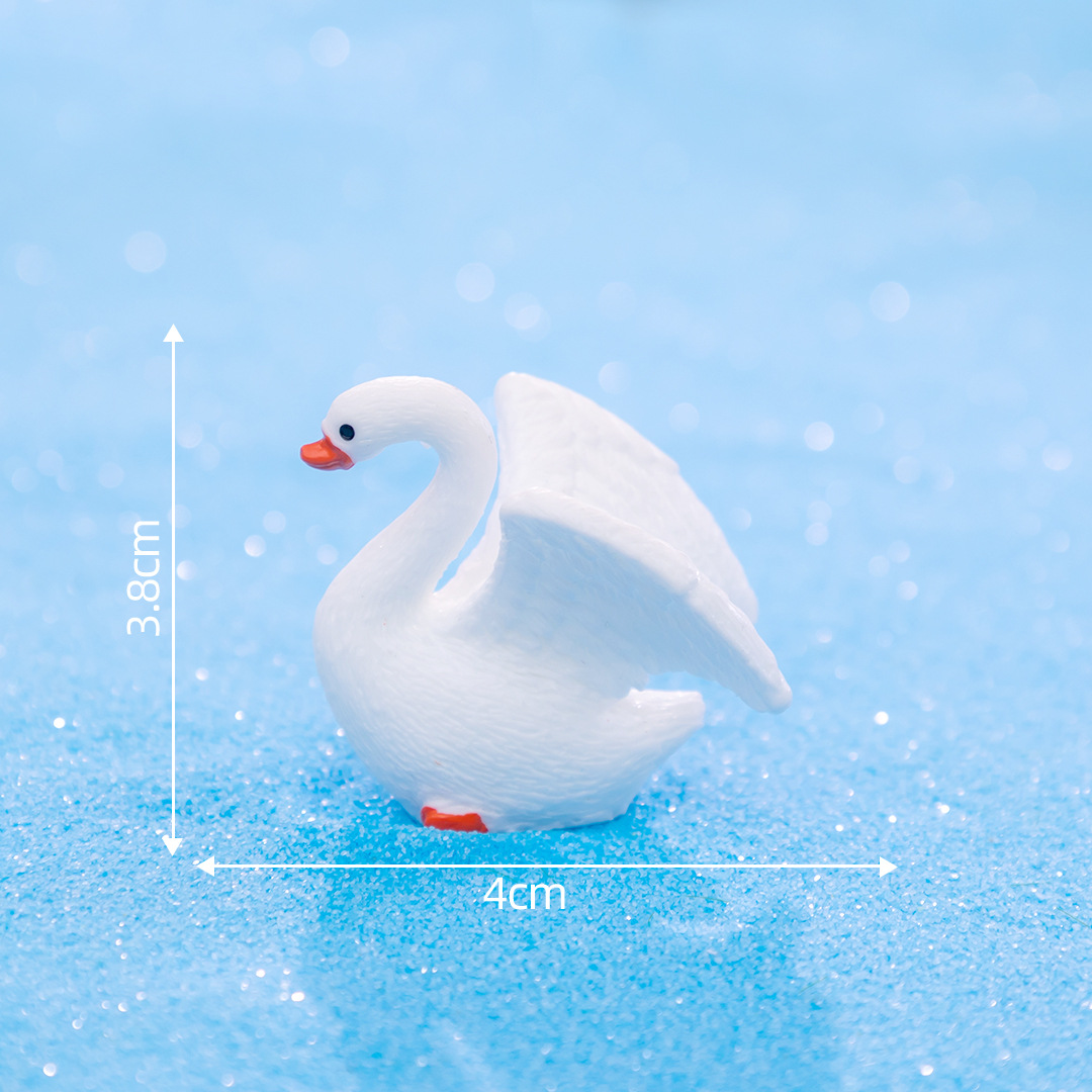 아름다운 백조 2