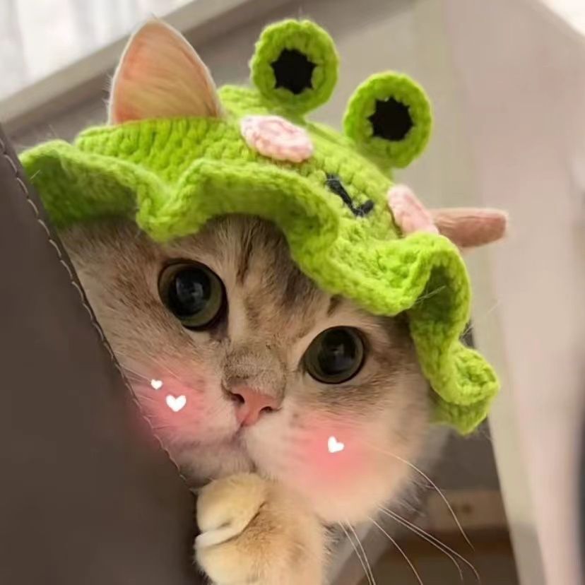 Cute Acrylic Cartoon Pet Hat display picture 6