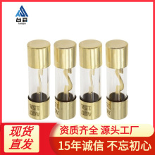AGU�������첣������˿��10*38ȫ�ƽ�10A/30A/50A/60A/80A/100A