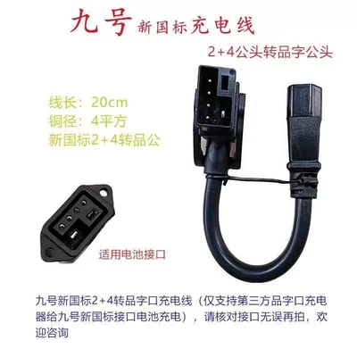 Battery Electric Vehicle Charging Model, Other Electric Vehicle Accessories