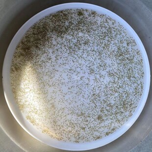 �Ļ�ˮ���~�����l�a�~���~���~�|�~�����������~���~