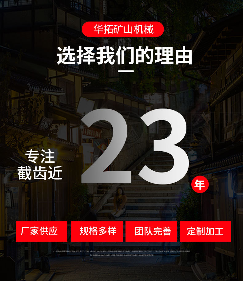 O1CN019lOJcY2MsTLZudtil_!!2219087129883-0-cib.jpg?__r__=1745909813874